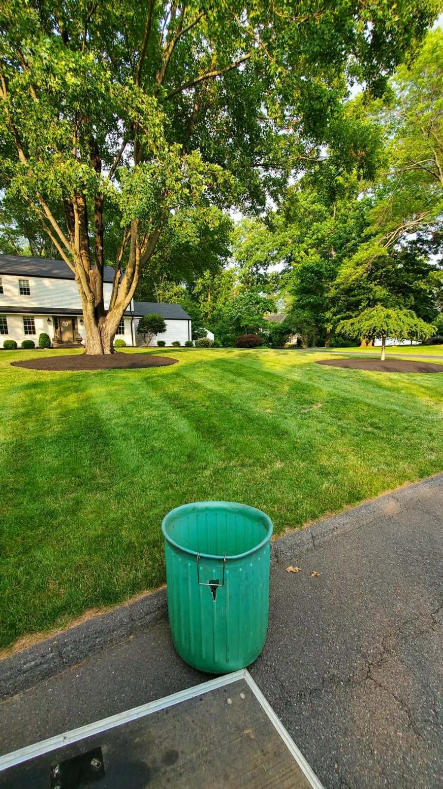 Freshly cut residential lawn